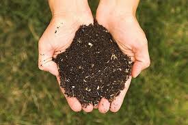 The City Farm Will Be Opening Wednesday City Of Wapakoneta Government Facebook