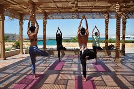 We did not find results for: Egypt Luxury Yoga Retreat On The Red Sea With Yoga Escapes