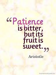 Patience Is Bitter But Its Fruit Is Sweet Inspirational Quotes Patience Quotes Aristotle Quotes Patience