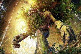 Image result for Coccinia adoensis