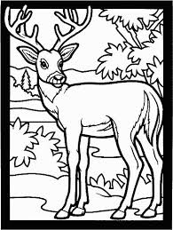 Shop with me on etsy link is in bio antler tattoos deer skull 58 free printable deer coloring pages in vector format easy to print from any device and automatically fit any deer coloring pages coloring. Deer Coloring Page For Kids Free Printable Picture
