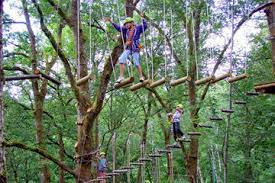 Bali Treetop Adventure With Private Round Trip Transfer Adventure Park Top Adventures Tree Tops