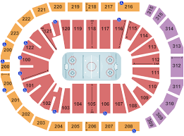 Buy Jacksonville Icemen Tickets Front Row Seats