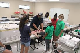 Day Campers enjoy free STEAMA Camp