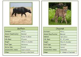 African Animal Fact Cards African Animals Facts Animal Facts African Animals