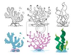 Malvorlagen von korallen und allen tieren, die in und in der nähe der koralle leben. Vintage Und Bunte Korallen Algen Und Unterwasserpflanzen Fototapete Fototapeten Laminaria Seetang Algen Myloview De