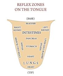 Greek Medicine Tongue Diagnosis In Greek Medicine