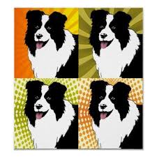 Border Collie Dog Pop Art Poster Original Artwork Zazzle