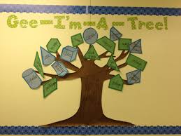 Geometry Bulletin Board Math Bulletin Boards Middle School Geometry Bulletin Board Math Bulletin Boards