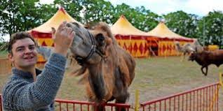 Humberto machado jr., md is a cardiologist in coral gables, florida. Zirkus Humberto Gastiert In Bad Doberan