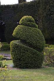 site de thomas dupaigne photographe passionne par l 39 univers du jardin et chasseurs de belles lumieres topiary garden beautiful gardens garden landscaping