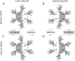 Jonas barros eriksson och eva schildt, formgivare. The Association Between Mental Rotation Capacity And Motor Impairment In Children With Obesity An Exploratory Study Peerj