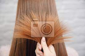 Choose a hair loss treatment to help stimulate the follicles and encourage new hair growth. Sick Cut And Healthy Hair Care Straightening Before And After Fototapete Fototapeten Weiss Ansehen Behandlung Myloview De