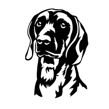 Image result for anglický barvář