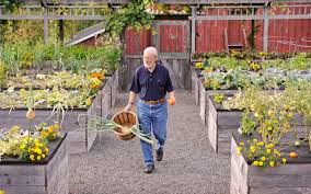 high mighty raised beds tall raised garden beds diy raised garden raised garden