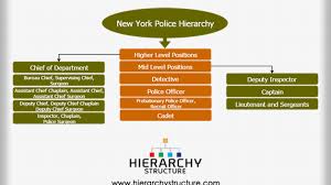 New York Police Hierarchy Chart Hierarchystructure Com