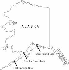 The information available through the voter information tool is pursuant to as 15.07.195. Geographic Location Of Alaska Peninsula Archaeological Sites Download Scientific Diagram