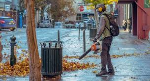Leaf blower is indispensable lawn gear for anyone with a larger garden. Why Are Leaf Blowers So Loud