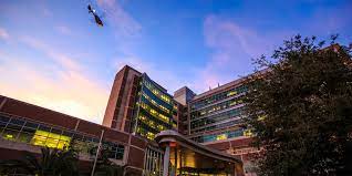 The job description of health informatics. Uf Health Jobs Linkedin
