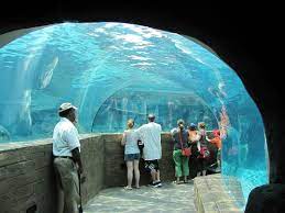 St Louis Attractions St Louis Zoo St Louis