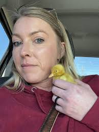 Rescued midget duckling's remarkable recovery journey