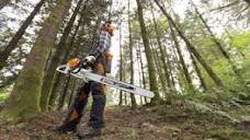 STIHL Chainsaws, the #1 Selling Brand of Chainsaws Worldwide ...