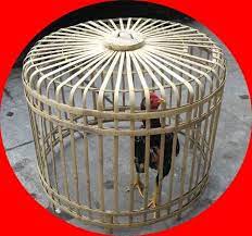 (s41) cara dasar membuat sangkar bulat | how to make a bird cage. Membuat Kandang Ayam Umbaran Untuk Ayam Bangkok
