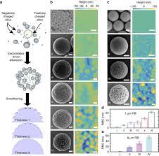 At room temperature, the equilibrium is strongly in favor of ammonia, but the reaction doesn't proceed at a detectable rate due to its high. Universal Emulsion Stabilization From The Arrested Adsorption Of Rough Particles At Liquid Liquid Interfaces Nature Communications