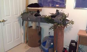 Faux columns made from carpet tubing are an inexpensive decor idea for a home or event. Pin On For The Canine And Feline Pals