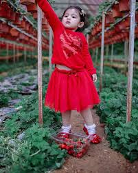 She's gained media attention since she was born. Bila Aaisyah Dhiarana Memetik Buah Strawberi Video Comelnya Gelagat Aaisyah Anak Rozita Che Wan Dan Zain Saidin Ni Kan Dia Dikhabarkan Dah Ada Model Pakaian