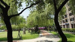 有柳無堤的 柳堤公園 旅遊通部落格 痞客邦 park sidewalk growing