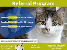 At the uc davis veterinary hospital, our cultural journey toward excellence is achieved by adhering to these five pillars of success: Veterinarian Pensacola Fl Olive Branch Pet Hospital