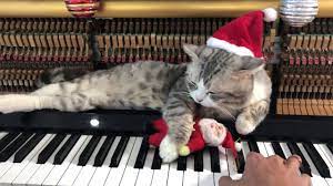 Santa Meow Wish You A Merry Christmas Youtube Meowy Christmas Christmas Magic Best Lullabies