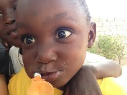 Rapport de stage 2019-Sénégal