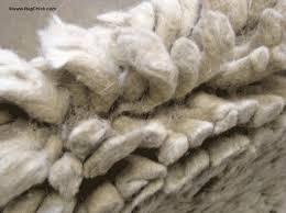 The tall pile yarns can no longer remain upright creating an entangled surface that resembles fine cut tobacco. Shag Rugs What You Need To Know Rug Chick