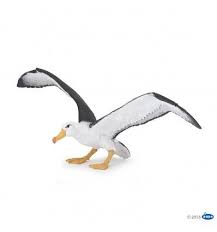 Albatros Papo Tropique Du Capricorne Figurine Animaux