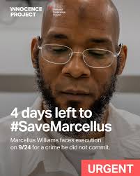 Shelley Ingram (@singrala)