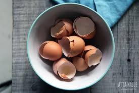 Unsure what to plant in your area? Using Eggshells In The Garden 5 Ways They Ll Help You Grow Food