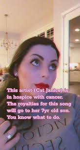 Cat Janice Go Fund Me