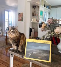 La Maison Francaise On Instagram Jeannedamas Interirordesign Architecteinterieur Decoration Decorationinterieur Pa New Books Instagram Instagram Photo