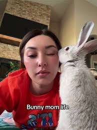 Better than a cat or dog. Hands down 😅 no barking or attacking