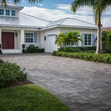 Image result for Pavetta comostyla