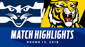 Richmond too, but richmond's game style is not fun to watch. Geelong V Richmond Highlights Round 13 2018 Afl Youtube