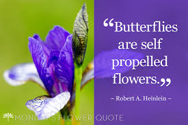 We did not find results for: Flower Quote Butterflies Are Self Propelled Flowers