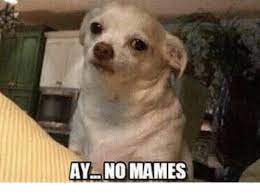 Ay No Mames Ay No Mames Meme On Esmemes Com