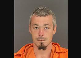 Man admits he stabbed woman jogging in Arkansas park