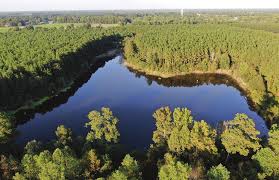 Accelerating the Pace of Conservation