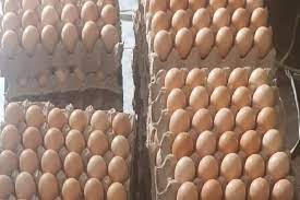 Kebanyakan orang yang memiliki perhiasan last update : Harga Telur Ayam Di Jawa Bali Senin 21 September 2020 Bandung Dan Sukabumi Termahal Kabar Lumajang