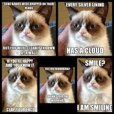 Grumpy Cat No Meme With Images Grumpy Cat Humor Grumpy Cat Quotes Grumpy Cat Meme Cute766