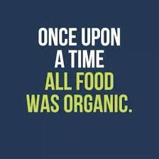 Best drinking buddy quotes selected by thousands of our users! 35 Very Delicious Food Quotes Every Food Lover Must See Word Porn Quotes Love Quotes Life Quotes Inspirational Quotes